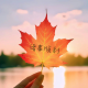 欢乐的向松