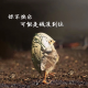 飞过的心