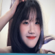 小猫飞行员