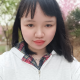 林小七【情感守护】