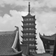 纯天然【解惑】