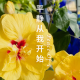 晟桭爔【宁静喜悦】
