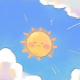 星星星猫
