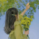 菲菲