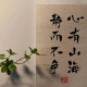 梅花小文情感疏导