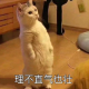 题主头像